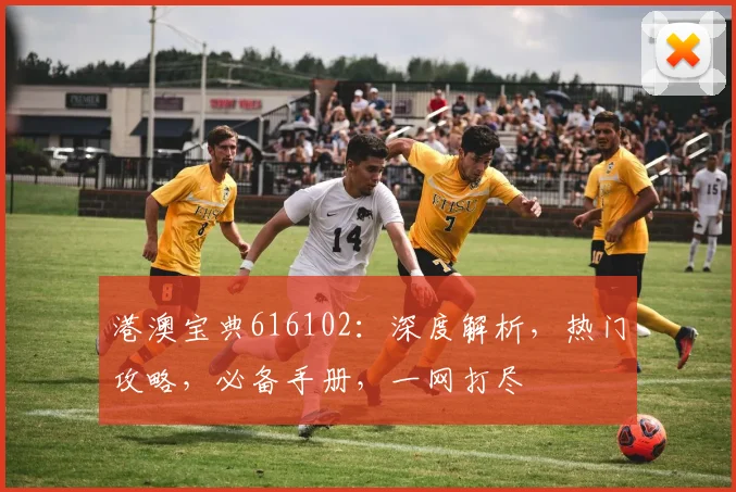 港澳宝典616102：深度解析，热门攻略，必备手册，一网打尽