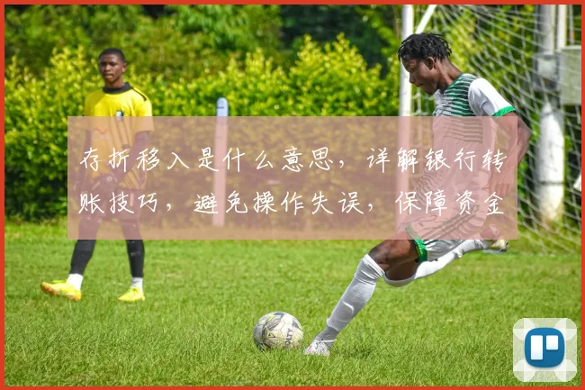 存折移入是什么意思，详解银行转账技巧，避免操作失误，保障资金安全，轻松掌握